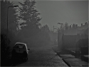 EARLY NOVEMBER MORNING